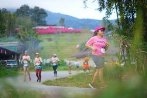 BIB: 
                            <button type="button" onclick="openModal(19215134)" class="btn btn-primary btn-sm float-right btn-popup" data-toggle="modal" data-target=".modal-high-quality">
                        <i class="fas fa-shopping-cart"></i> Add to Cart
                    </button>
                                            <button type="button" onclick="isThisMe(19215134, true)" class="btn btn-success btn-sm float-right btn-popup btn-isme hidden" data-toggle="tooltip" data-placement="bottom" title="นี่คือรูปของคุณใช่ไหม คลิกที่นี่เพื่อเอาเข้าอัลบั้ม">
                        <i class="fas fa-plus"></i> Add to album
                    </button>
                    <button type="button" onclick="isThisMe(19215134, false)" class="btn btn-warning btn-sm float-right btn-popup btn-isnotme hidden">
                        <i class="fas fa-ban"></i> Remove from album
                    </button>